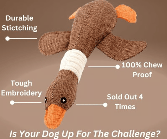 ROBUSTDUCK-DESIGNED FOR SMALL CHEWERS