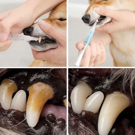 Pet Toothbrush Cleaning Solution with Soft Bristle Formula for Dogs and Cats